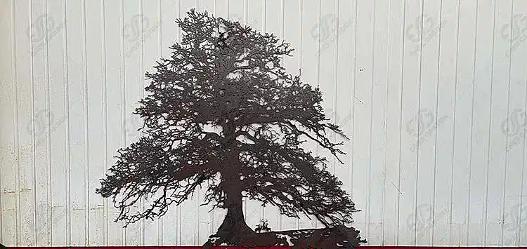 corten-steel-garden-tree-sculpture-gn-ss-201